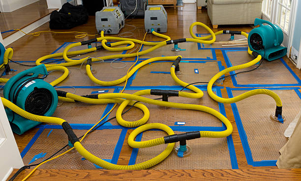 Professional Burst Pipe Water Damage technician working in Marshfield, MO